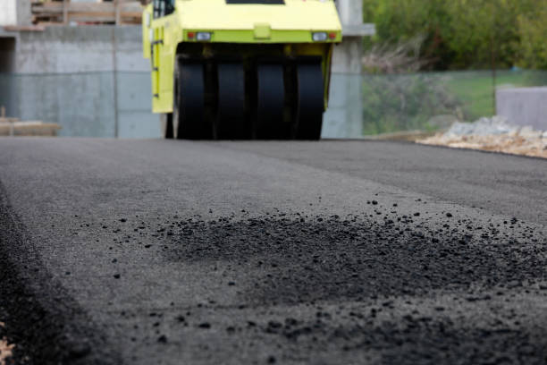 Best Custom Driveway Pavers  in Park Ridge, IL